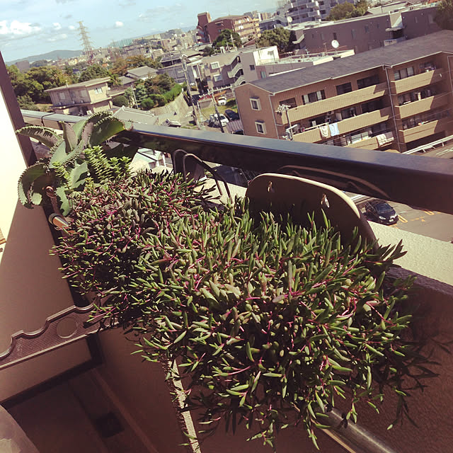 sp814さんの実例写真