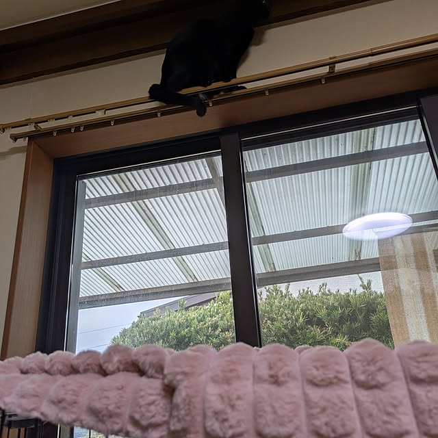 asaさんの部屋