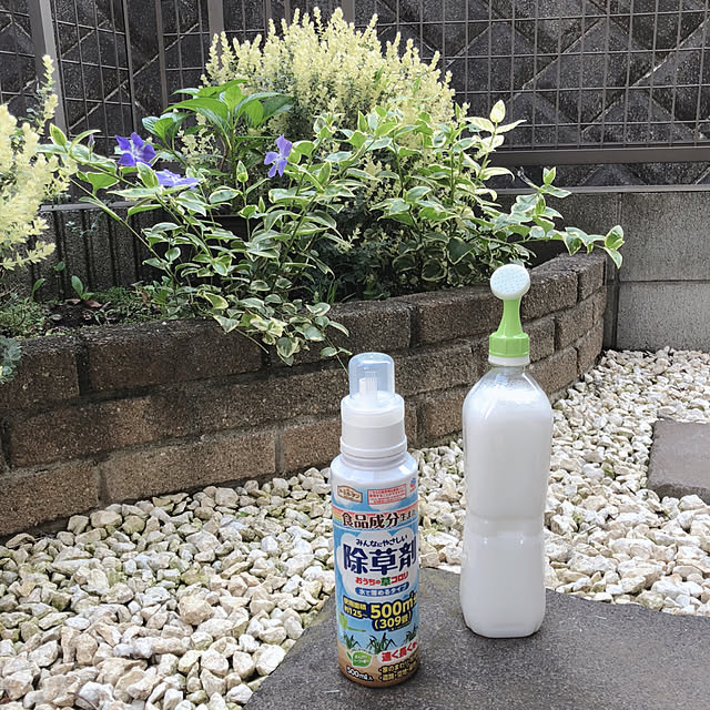 katoponさんの実例写真