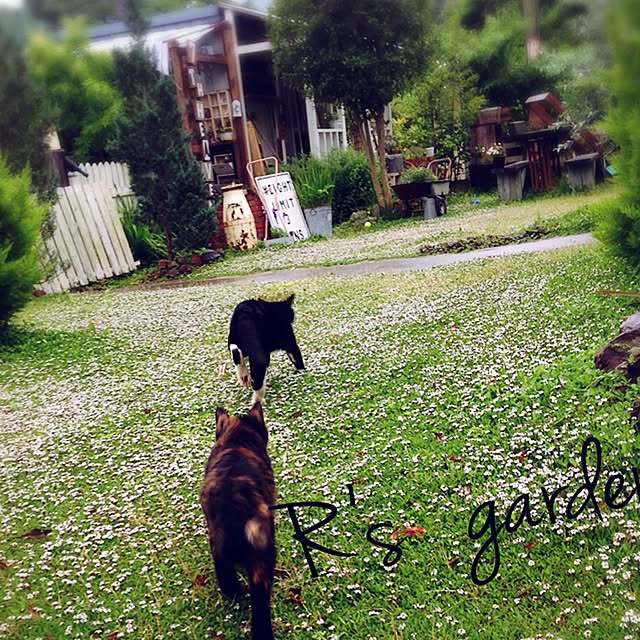 romiさんの実例写真