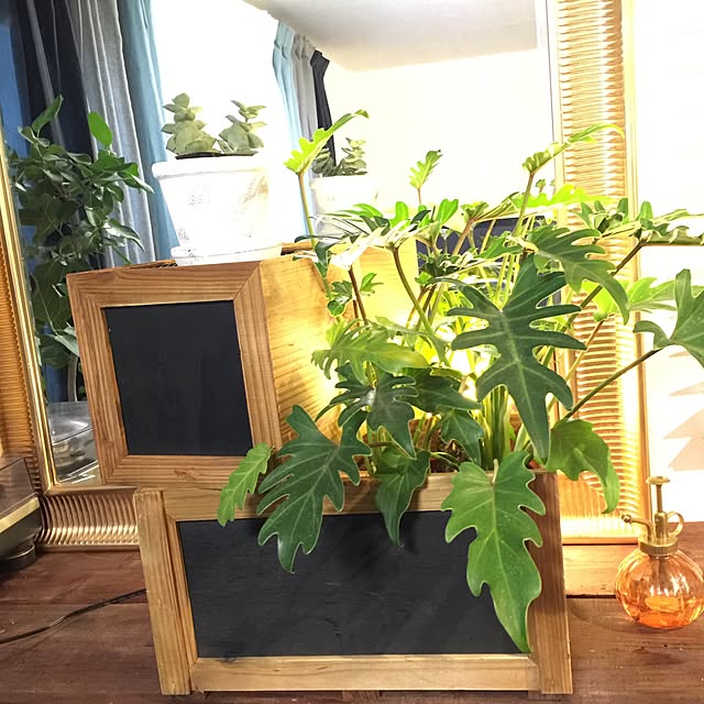 ht.kiitosさんの実例写真