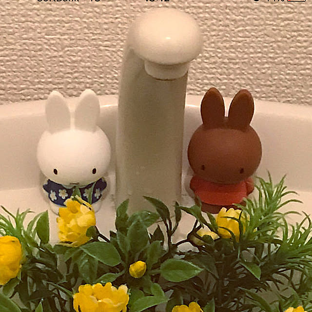 ameonnaさんの実例写真