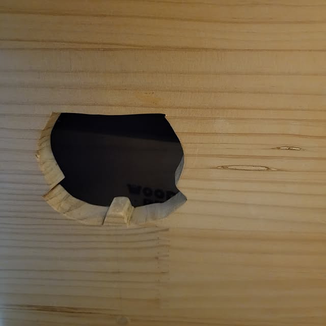 ANTENNAさんの部屋