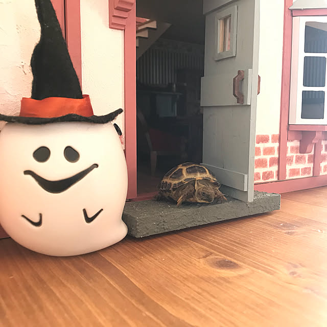 monster.shittanさんの実例写真