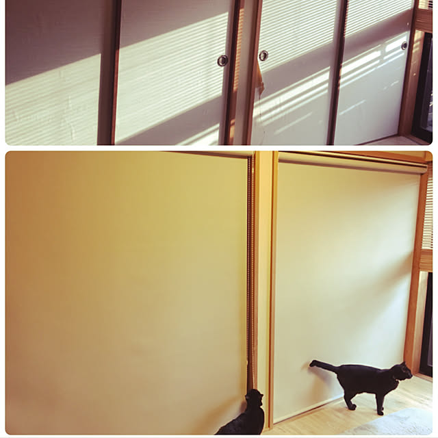 nonoさんの実例写真