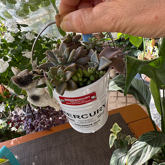 Aqettyさんの部屋