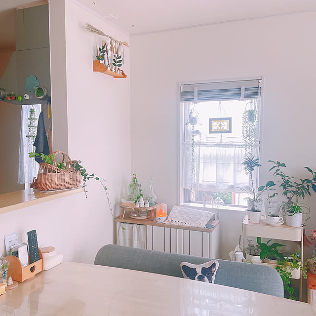 akiko-ovさんの部屋
