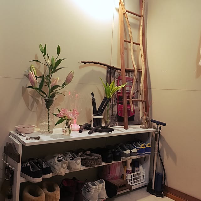chihiroさんの実例写真