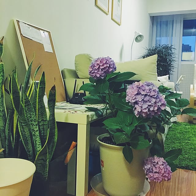 pureskyさんの実例写真