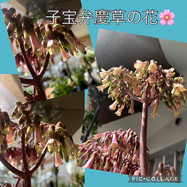 Aqettyさんの部屋