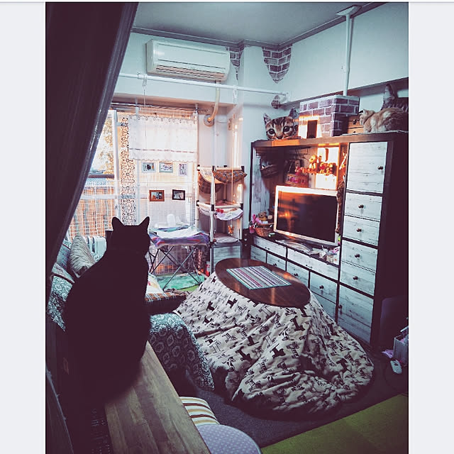 mntcさんの実例写真