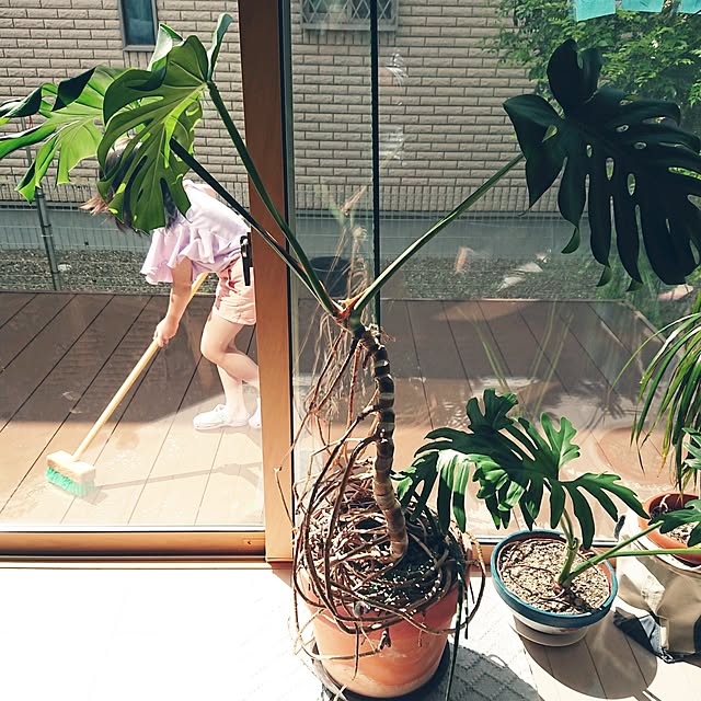 urchinさんの実例写真