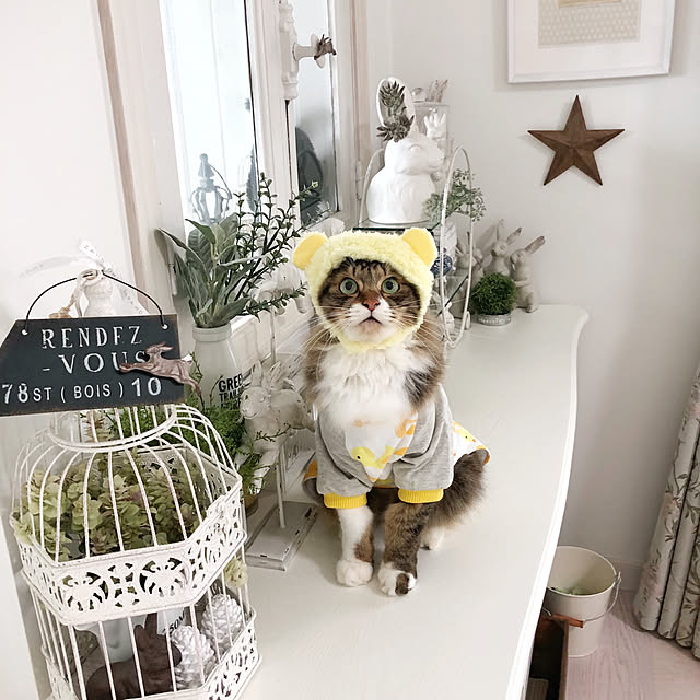 yuchiさんの実例写真