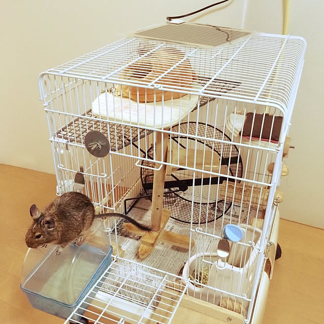 ainonさんの実例写真