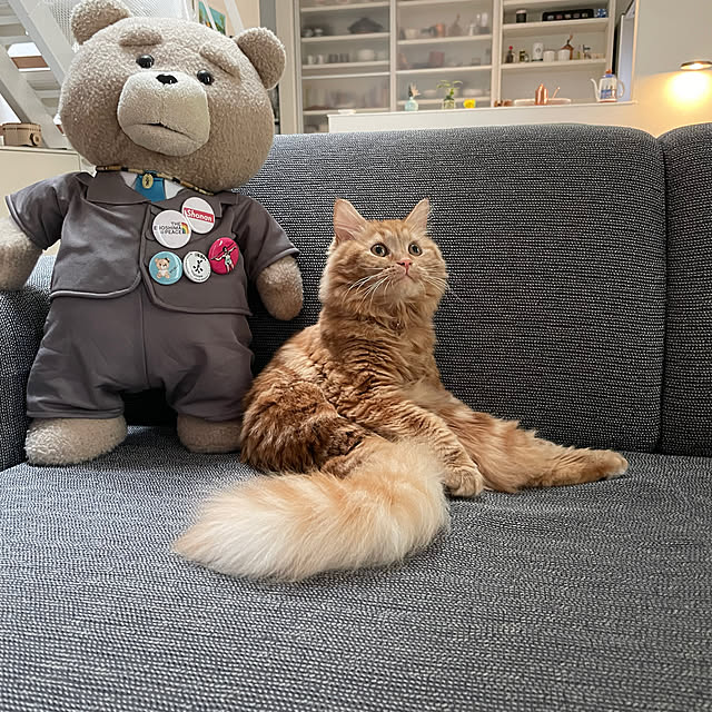 beanさんの実例写真