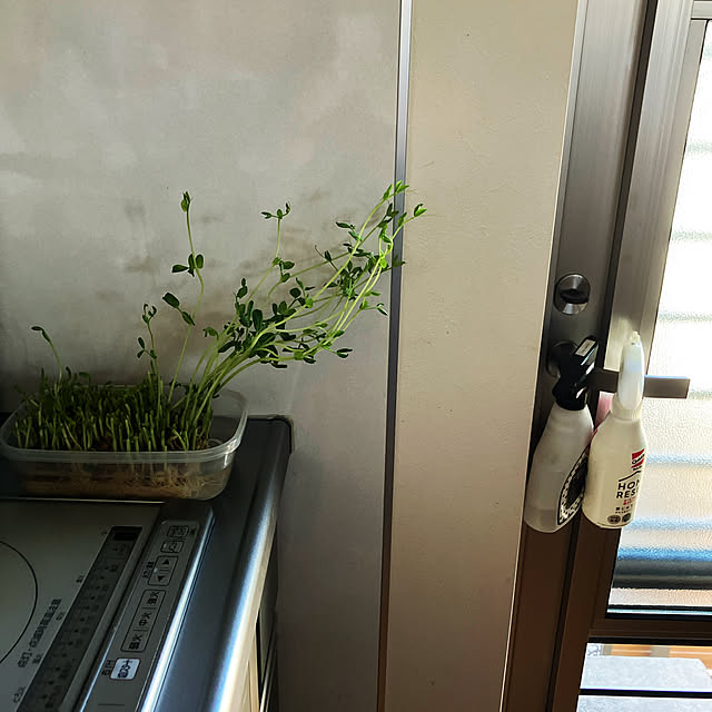 Rさんの実例写真