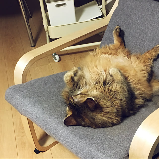 tokoさんの実例写真