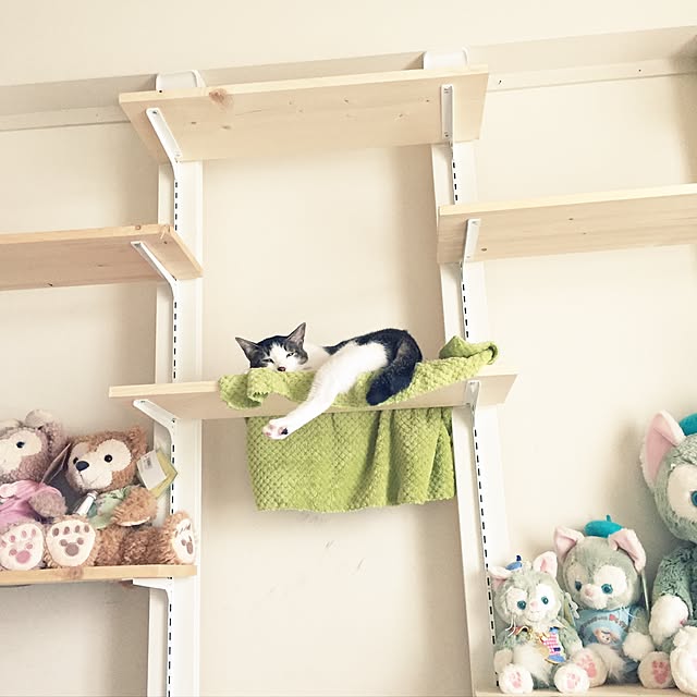 neco7さんの実例写真