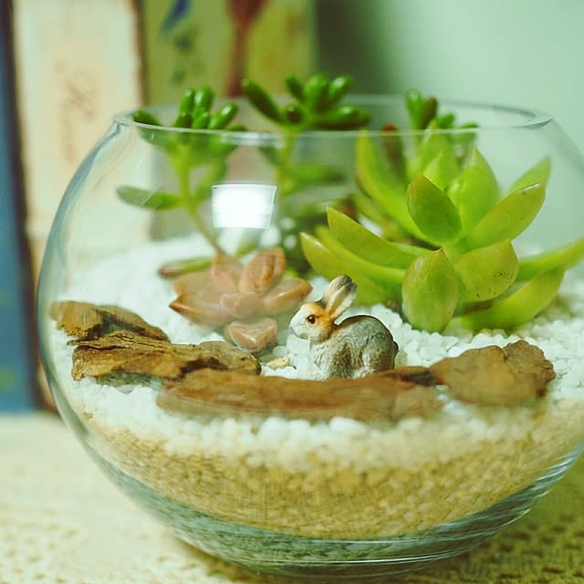 minminさんの実例写真