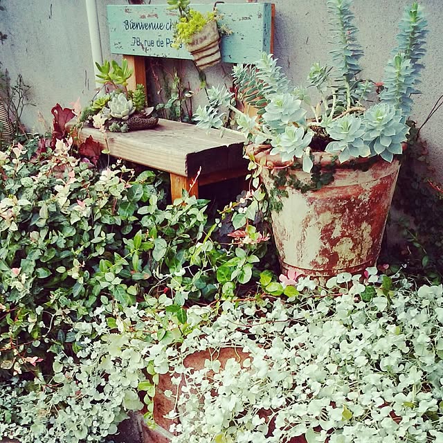 Toiroさんの実例写真