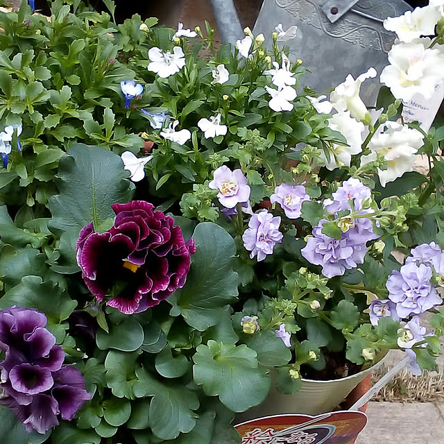 mariagardenさんの実例写真
