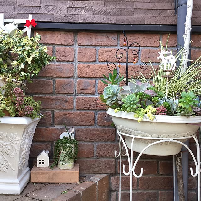 mukkuさんの実例写真