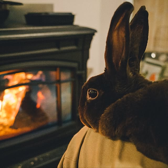 ibafralifeさんの実例写真