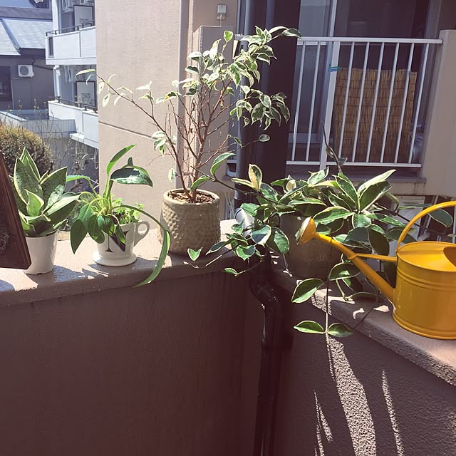 fuekinori26さんの実例写真