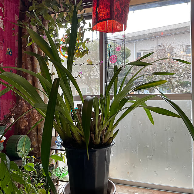 shin0719さんの実例写真