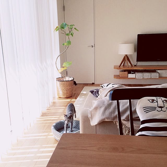 pipiさんの実例写真
