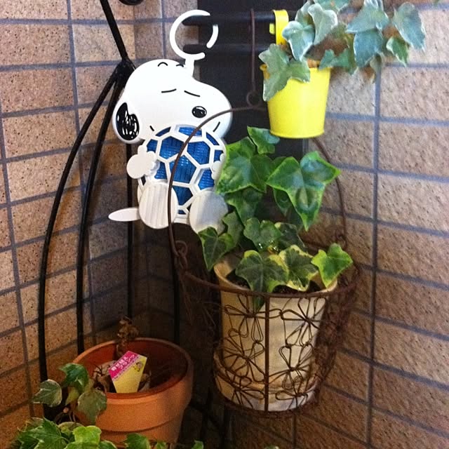 minayuipapaさんの実例写真