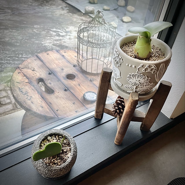 Rainさんの実例写真
