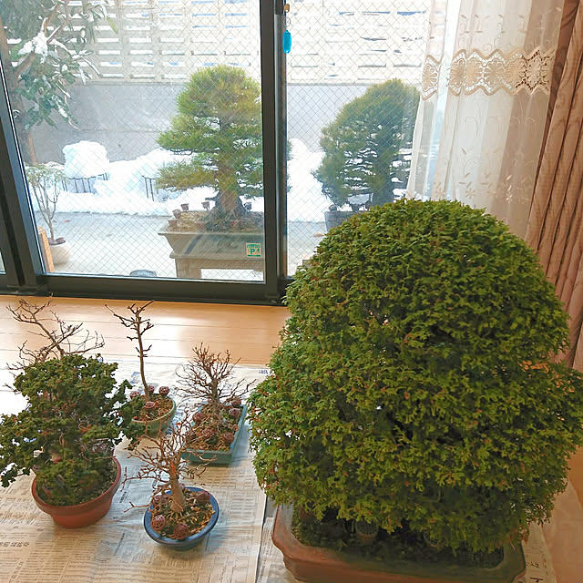bonobono54さんの実例写真