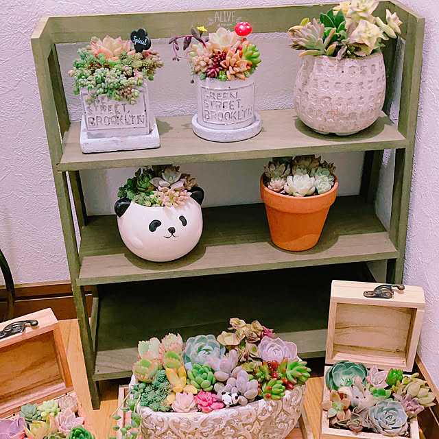 mika415さんの部屋