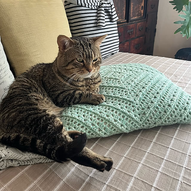 kuuさんの実例写真