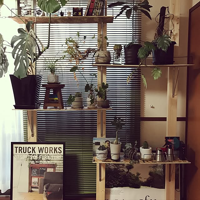 weizenさんの実例写真