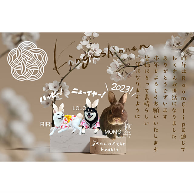 mo-nosukeさんの実例写真