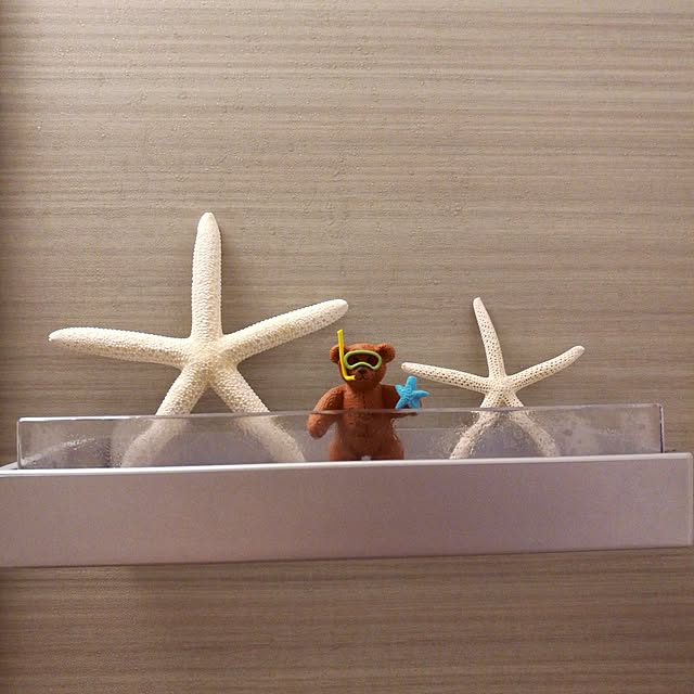 Annaさんの実例写真