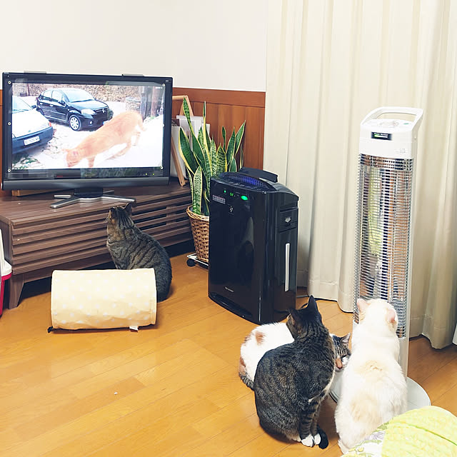 nachiさんの実例写真