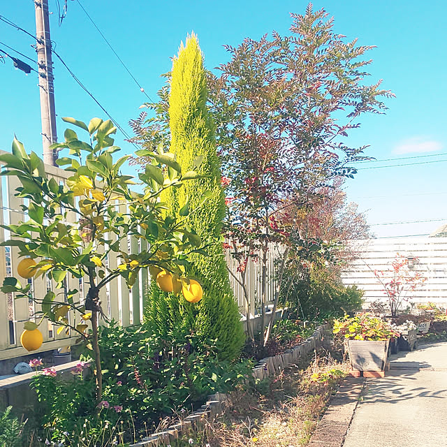 A.hさんの実例写真