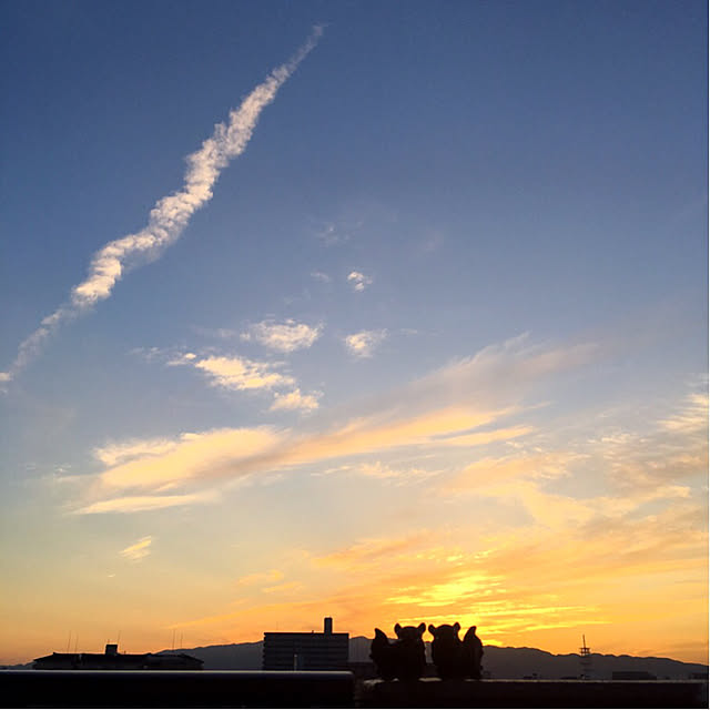 simple_blowbackさんの実例写真
