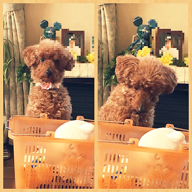 MIYUさんの実例写真