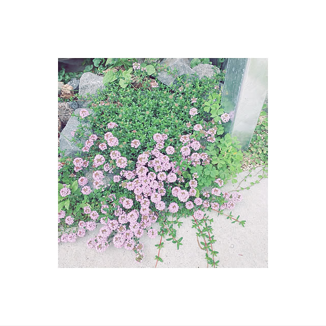 m__homeさんの実例写真