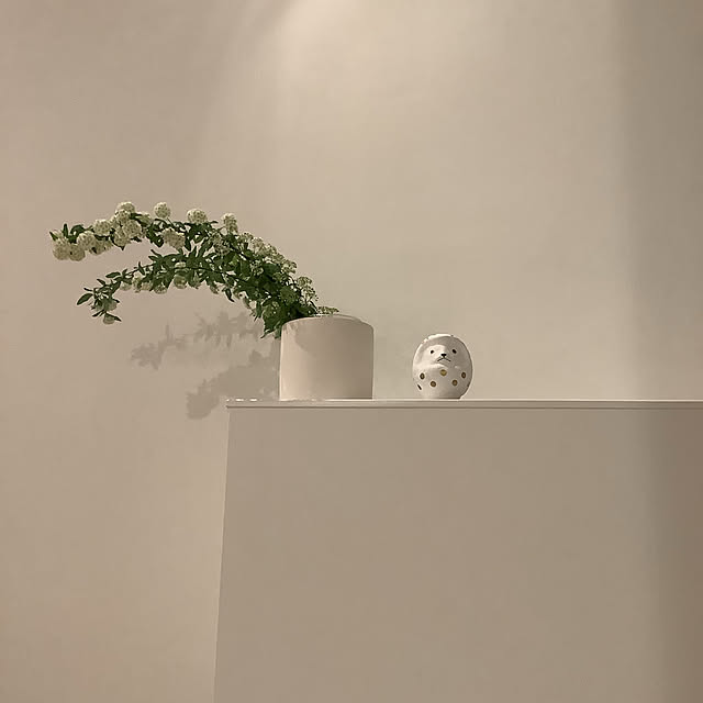 Neveさんの実例写真