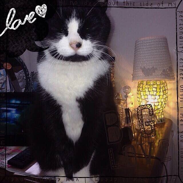 実例写真