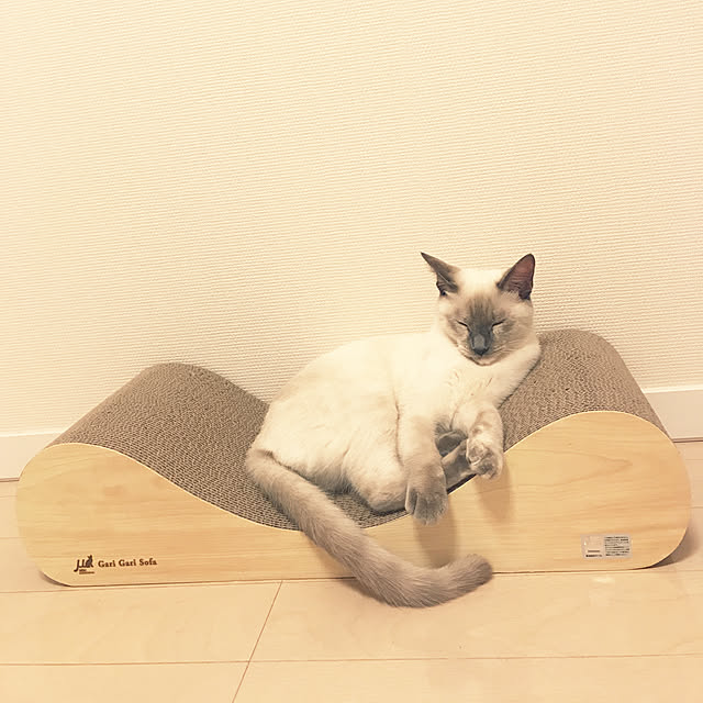 koppeさんの実例写真