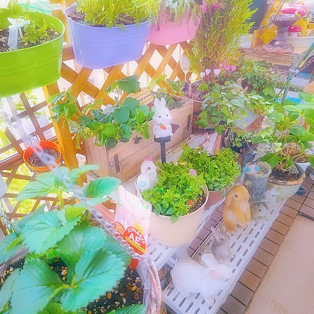 mariaさんの部屋