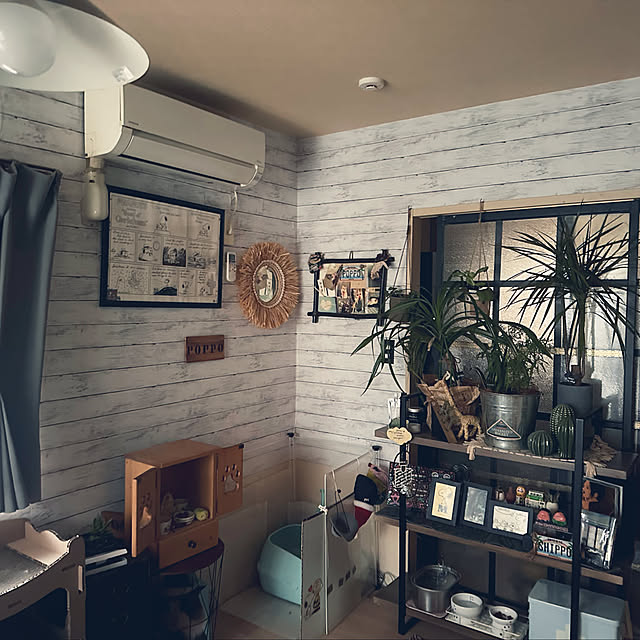 Rindasanさんの部屋