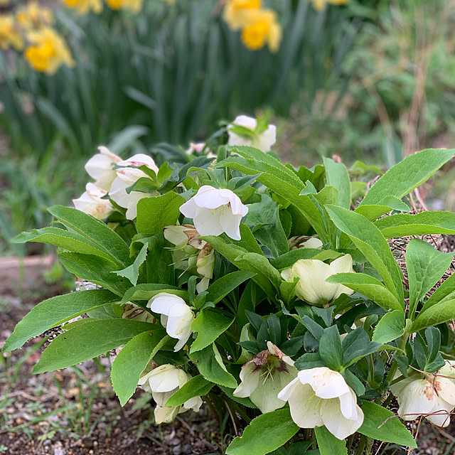 masakoさんの部屋