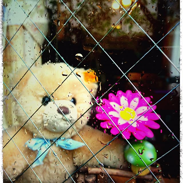 chiekoさんの実例写真